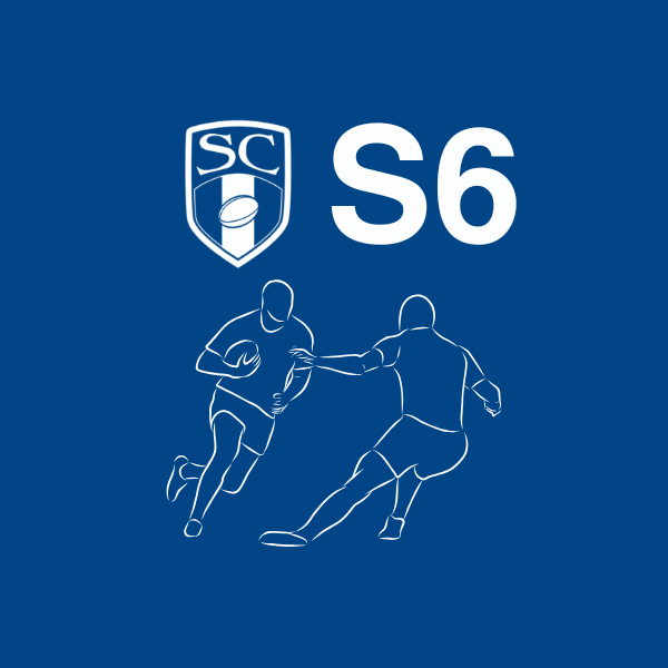 S6 Donació sense pack